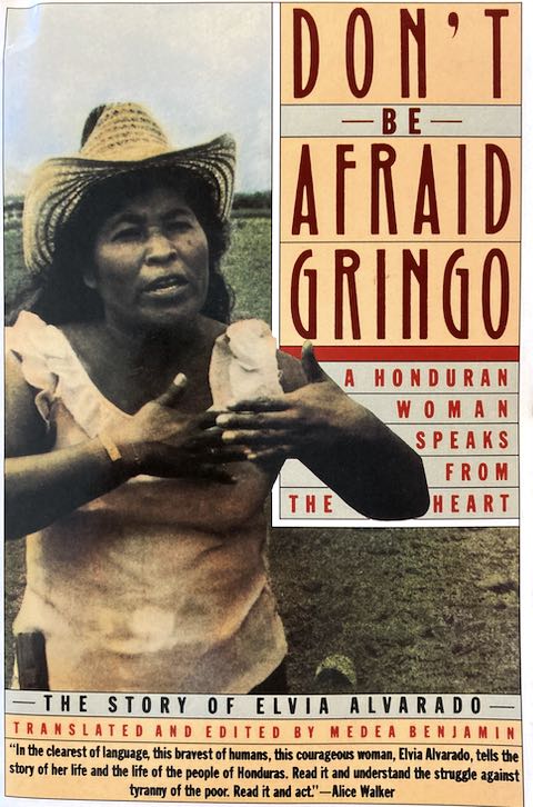 Don't Be Afraid, Gringo
