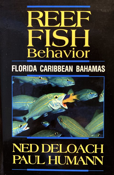 Reef Fish Behavior