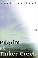 Pilgrim At Tinker Creek