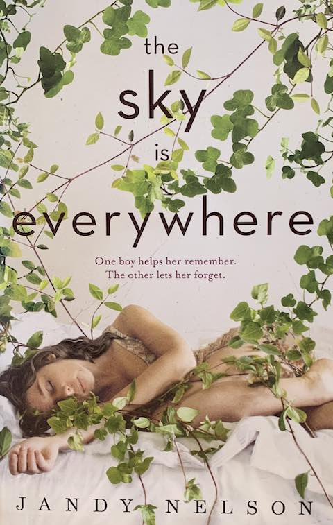 The Sky Is Everywhere