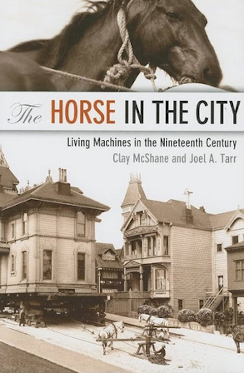 The Horse in the City