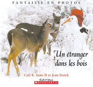 Un étranger dans les bois