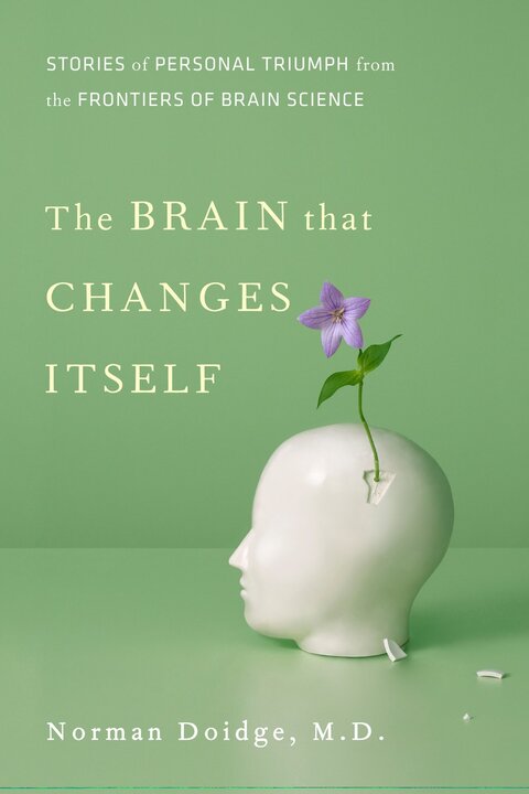 The Brain That Changes Itself