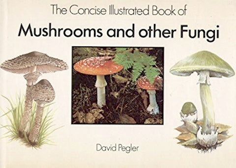 Mushrooms and Other Fungi