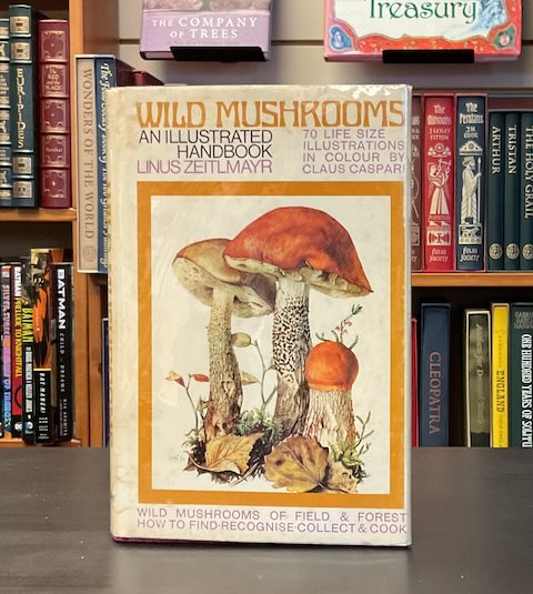 Wild Mushrooms