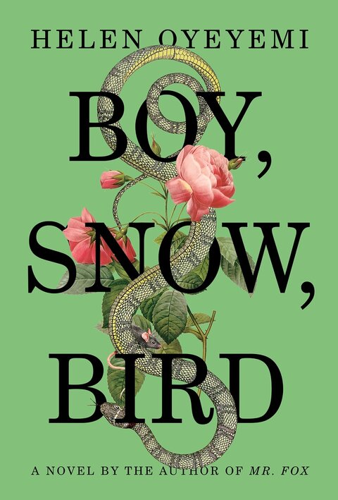 Boy, Snow, Bird