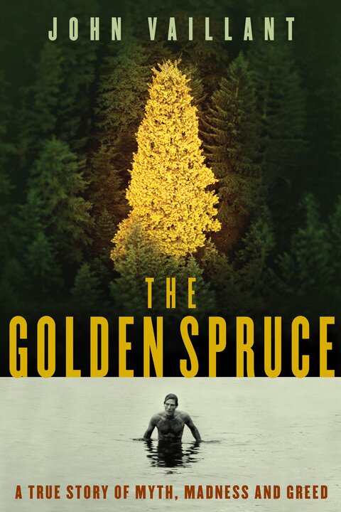 The Golden Spruce