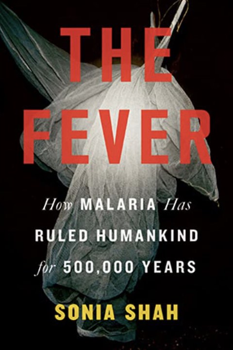 The Fever