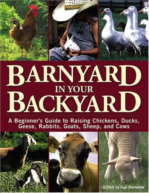 Barnyard in Your Backyard