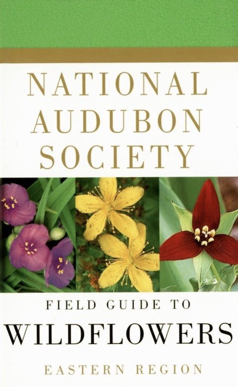 Field Guide to North American Wildflowers