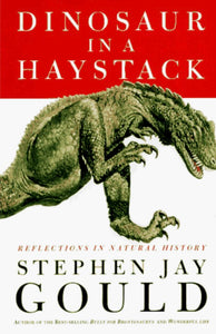 Dinosaur in a Haystack