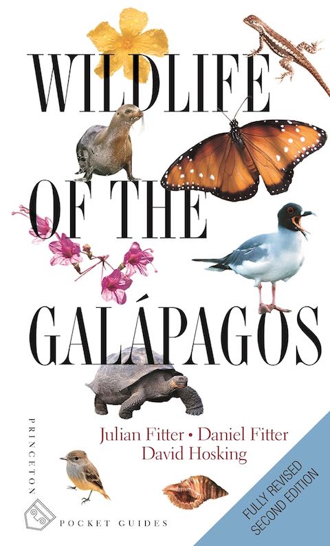 Wildlife of the Galapagos