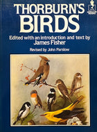 Thorburns Birds