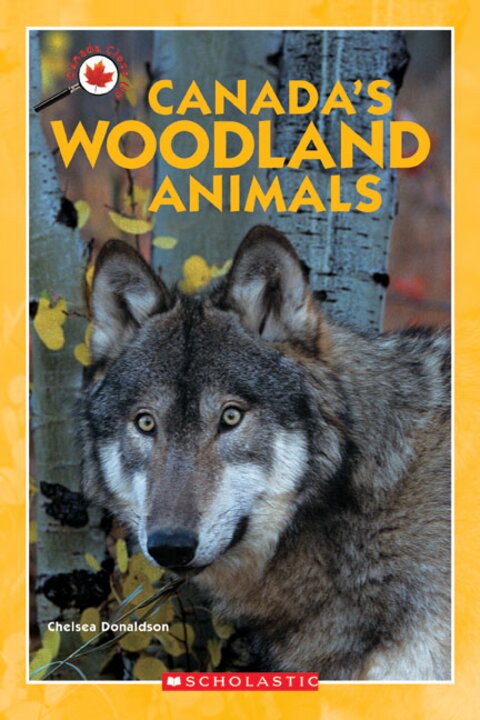 Canada Close Up: Canada's Woodland Animals