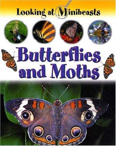 Butterflies and Moths