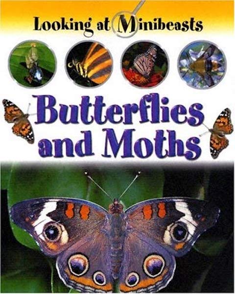 Butterflies and Moths