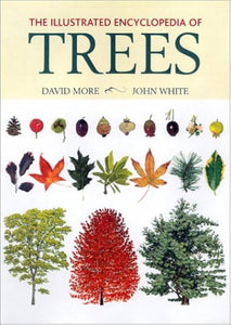 The Illustrated Encyclopedia Of Trees