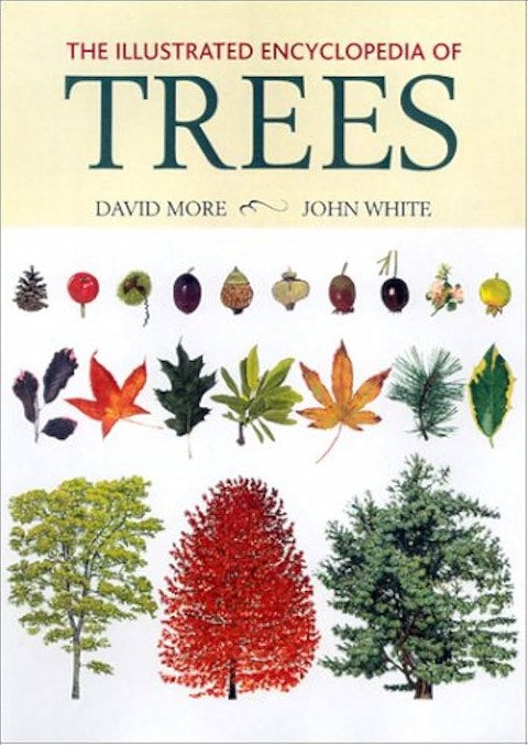 The Illustrated Encyclopedia Of Trees