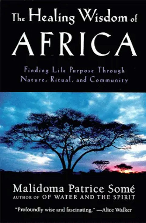 The Healing Wisdom of Africa