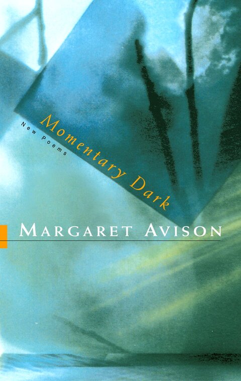 Momentary Dark