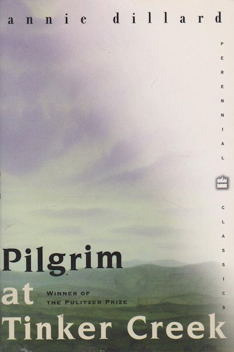 Pilgrim At Tinker