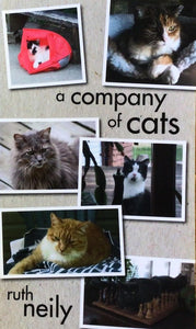 a company of cats