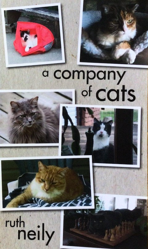 a company of cats