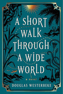 A Short Walk Through a Wide World