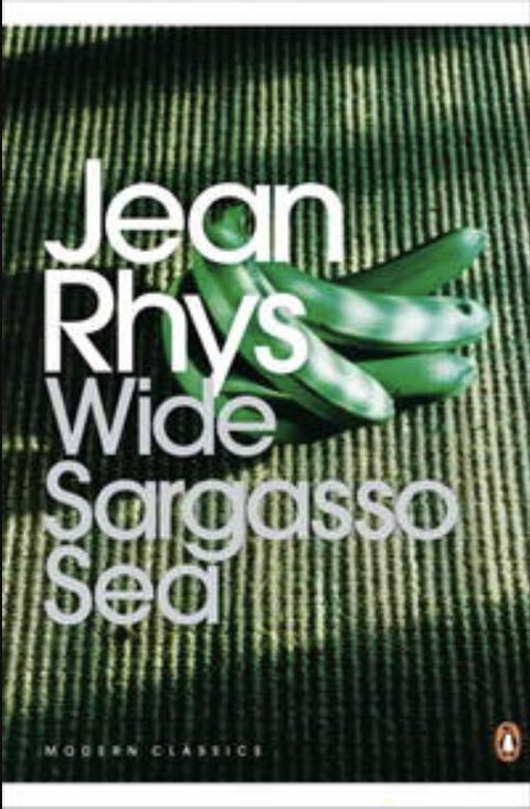 Wide Sargasso Sea