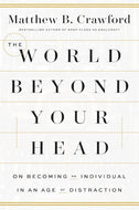 The World Beyond Your Head