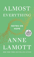 Almost Everything (LP)