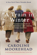 A Train in Winter