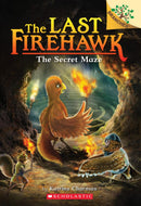 The Secret Maze: The Last Firehawk #10