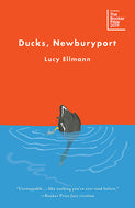 Ducks, Newburyport