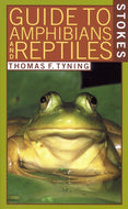 A Guide to Amphibians and Reptiles