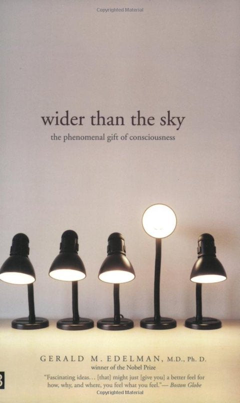 Wider Than the Sky