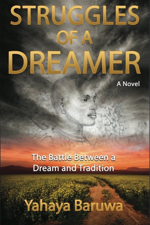 Struggles of a Dreamer