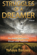 Struggles of a Dreamer