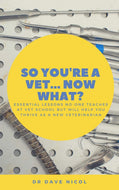 So You're A Vet...Now What?