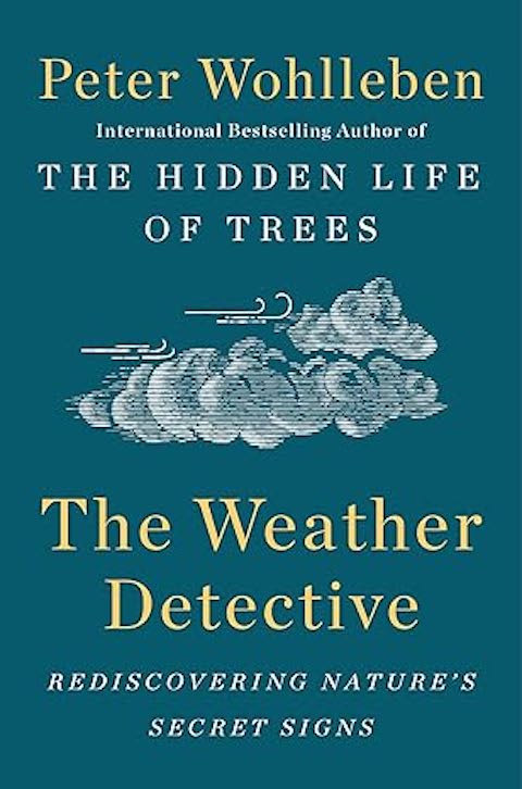 The Weather Detective