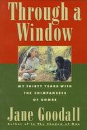 Through a Window