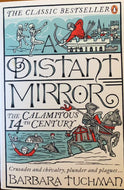 A Distant Mirror