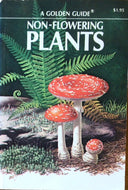 Non-Flowering Plants