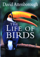 The Life of Birds