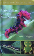 Caterpillars of Eastern North America