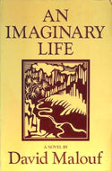 An Imaginary Life
