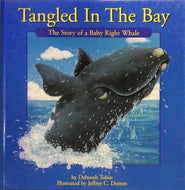 Tangled in the Bay