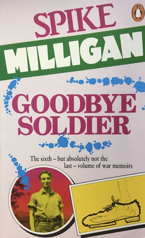 Goodbye Soldier