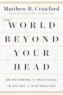 The World Beyond Your Head