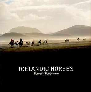 Icelandic Horses